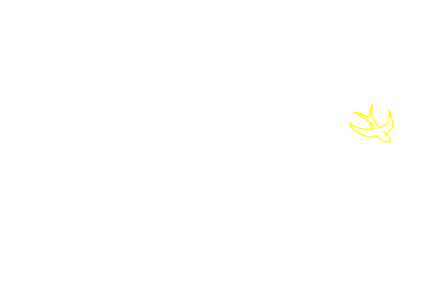 35DBC_Landing Page Early Bird-2